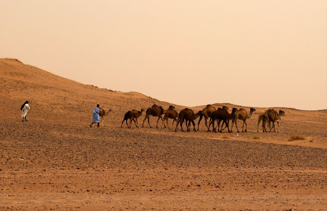 Morocco 12-day Tour